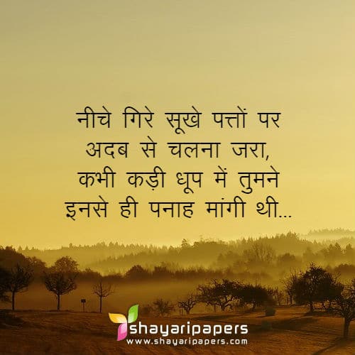 Top 10 Nature Shayari in Hindi with Images - नेचर या प्रकृति पर शायरी Top 10 Nature Shayari in Hindi with Images - नेचर या प्रकृति पर शायरी
